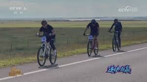 为什么粉红球棒背后的慈善精神赋予了暴力运动更多的社会温情